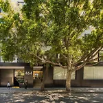 Uliv Pulse Roma - Condesa
