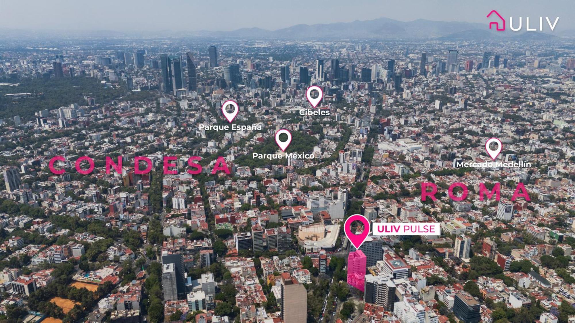 Uliv Pulse Roma - Condesa *